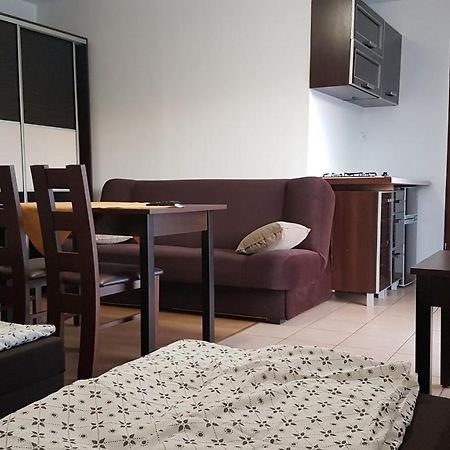 E&S_ Apartament Milicz Bagian luar foto